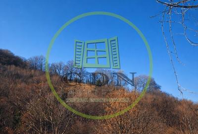 Teren de 20000 mp, în Schei - 2