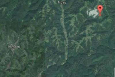 Vindem sau oferim spre arendare 88,85 hectare pa?une in comuna Petri?, jud. Arad - 1