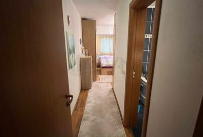 REA1026486 Apartament 3 Camere 96 mp Parcul Plumbuita - 12