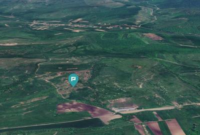 Teren de 1950000 mp, în Cincu - 4