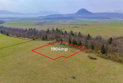 Teren Crizbav 1904 mp/PUZ/Langa Padure/Intravilan - 3