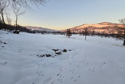 Spațiu comercial, în Bistra Mureșului - 3