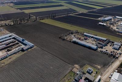 Teren agricol intravilan de 10000 mp, în Hălchiu - 7
