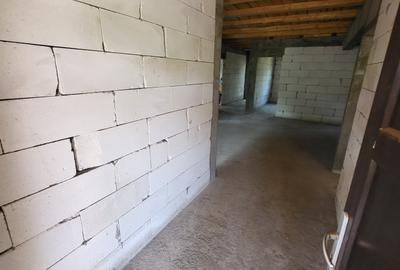 Casă individuală cu 4 camere cu Teren 1233 Mp în Odaia Manolache - 8