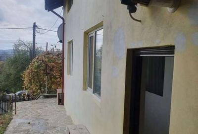 Casă cu 2 camere cu Teren 1500 Mp în Cornu - 9