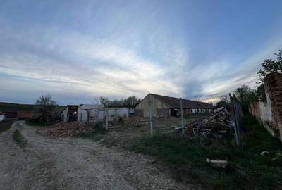 Spațiu comercial, în Ruși - 1