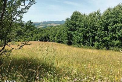 Teren de 2500 mp, în Central - 5