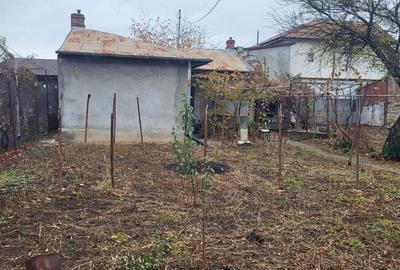Vand casa batraneasca cu teren in Voluntari str Tarnava - 4