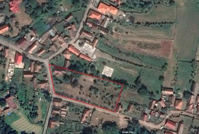 Casă individuală cu 4 camere cu Teren 4606 Mp în Eremitu - 2