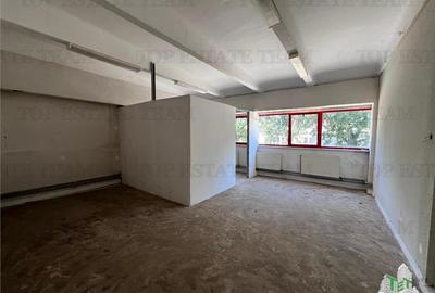 De inchiriat spatii comerciale, hale si birouri - 16