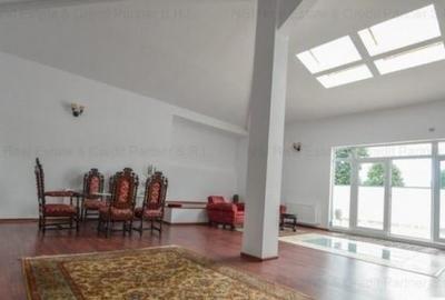 Inchiriere spatiu de birouri in vila din zona Cismigiu Inchiriere spatiu de birouri in vila din zona Cismigiu - 3