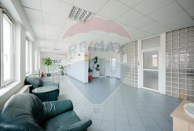 Spațiu industrial, de 1,249.0799560547 mp, în Exterior Vest - 12