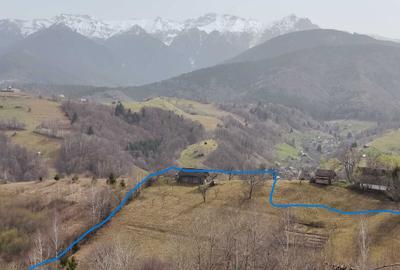 Teren de 9862 mp, în Șimon - 2