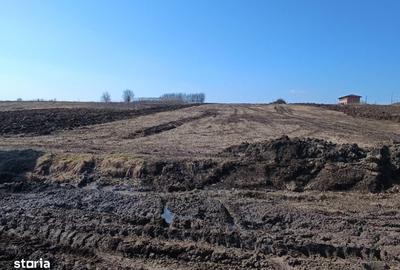 Teren de 500 mp, în Miroslava - 4