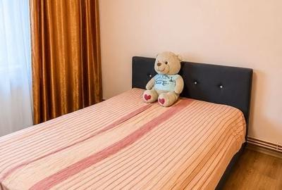 Apartament cu 2 camere semidecomandat, mobilat în Bucovina - 8