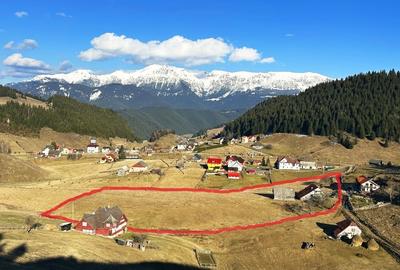 Teren intravilan 8400 mp, Fundata, zona Bran -  Moieciu - 13