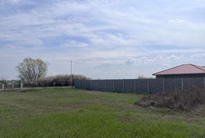 COMISION 0 | Teren intravilan | 745 mp | Mosnita Veche - 3