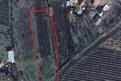 Teren 800mp intravilan in Valea Calugareasca - 3