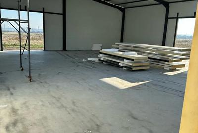 Hala Depozitare Productie P+E Centura Drobeta Turnu Severin - 3