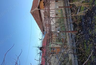 Casă în Roșia de Amaradia - 4