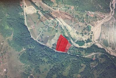 Teren 16,800mp Valea lui Stan / Strada Vultureasa - 5