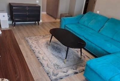 Apartament 3 camere , mobilat si utilat complet Pipera-Aviației Onix Park North - 4