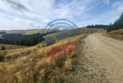 Teren de 1000 mp, în Central - 6