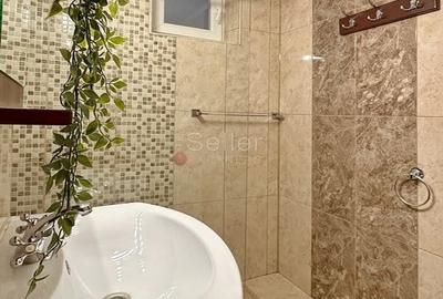 Apartament cu 2 camere semidecomandat, mobilat în Gării - 12