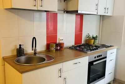 Casă cu 2 camere semidecomandat în Cățelu - 6