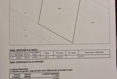 Teren agricol extravilan de 2500 mp, în Dragomirești-Vale - 2