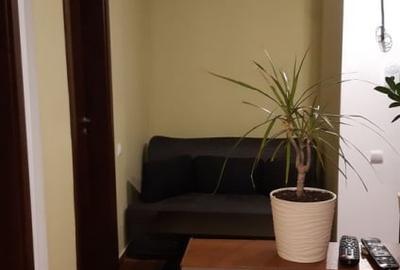 Apartament cu 2 camere decomandat, mobilat în Metalurgiei - 5