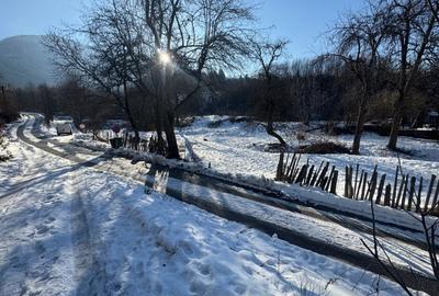 Proprietate intravilană - 2.298 mp - Mălaia, jud. Vâlcea - 4