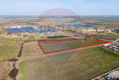 Oportunitate de investitie Teren 15,000mp Arad / Calea 6 Vanatori - 3