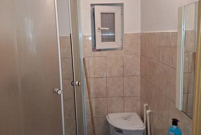 Casă cu 2 camere cu Teren 355 Mp în Cicârlău - 2