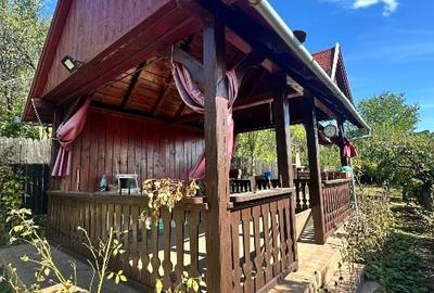 Vanzare vila superbă, P+1+Pod, Albota - 4