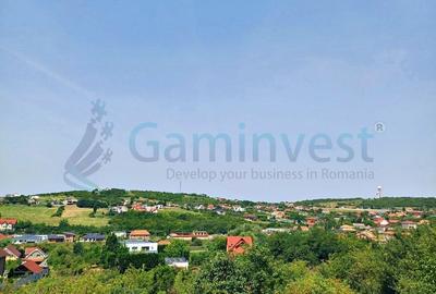 Teren Construcții intravilan de 4076 mp, în Dealuri Oradea - 2