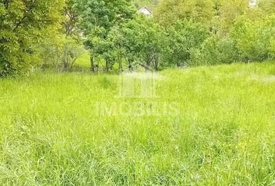 Teren intravilan | Budiu Mic | 994 mp - 7