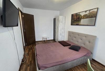 Apartament cu 2 camere, strada Alba Iulia, Micalaca - 10