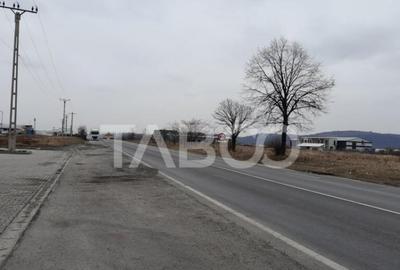 Teren de 15000 mp, în Tălmaciu