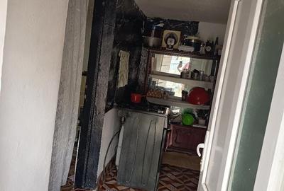 Casă cu 2 camere cu Teren 1800 Mp în Tronari - 1