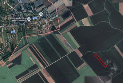 Teren de 10000 mp, în Merii Petchii