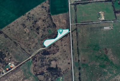 Teren Construcții intravilan de 1362 mp, în Moșnița Nouă - 5