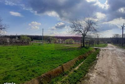 Spațiu comercial, în Buturugeni - 5