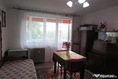 Apartament cu 2 camere semidecomandat în Podgoria - 13