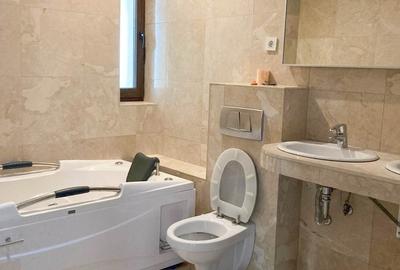 Baneasa, Sisesti nr 73 A, Piscu Vechi Baneasa, Sisesti nr 73 A, Piscu Vechi - 11