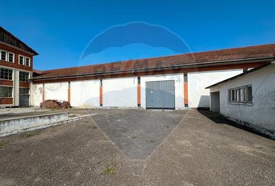 Hala de la 500 mp depozitare productie - 5