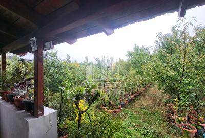 Casă individuală cu 5 camere cu Canalizare în Giarmata-Vii - 7