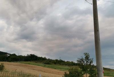 Teren de 1621 mp, în Almașu Sec