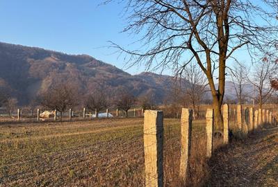Teren agricol intravilan de 3111 mp, în Feldru - 5