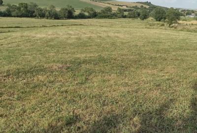 Teren extravilan 2000 mp,spre vanzare- Rusciori-5km  -Autostrada - 4